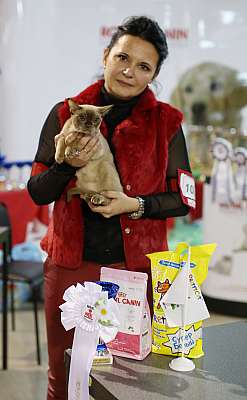 �������� ����� 22-23 ������ 2014 WCF-����� 3-105-169A8230 copy.jpg